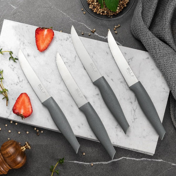 Stainless Steel Steak Knife Set