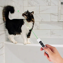 green laser pointer high power