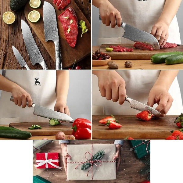 Kitchen Knife Set 67 Layer Damascus Steel Knife Chef Knives Utility Kn
