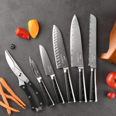 Knife Set, 7 Pieces Damascus Kitchen Knife Set with Block and Shears for Waterproof and Stain Proof, 67 Layer VG10 Steel Chef Knife Set Polished by Hand, Non-slip Micarta Handle and Ultra Sharp