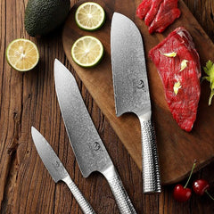 Kitchen Damascus Knife Set, 3-Piece 67 Layer Handmade Damascus VG10 Steel Core Forged Cooking Knife, lightweight Hammered Ergonomic Handle for Cooking Chef Knives Set