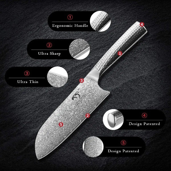 5 Pieces 67 Layers VG10 Hammered Damascus Steel Kitchen Knives Set