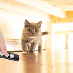 cat laser pointer