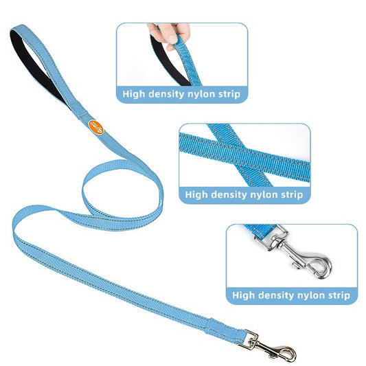 dog leash small dog