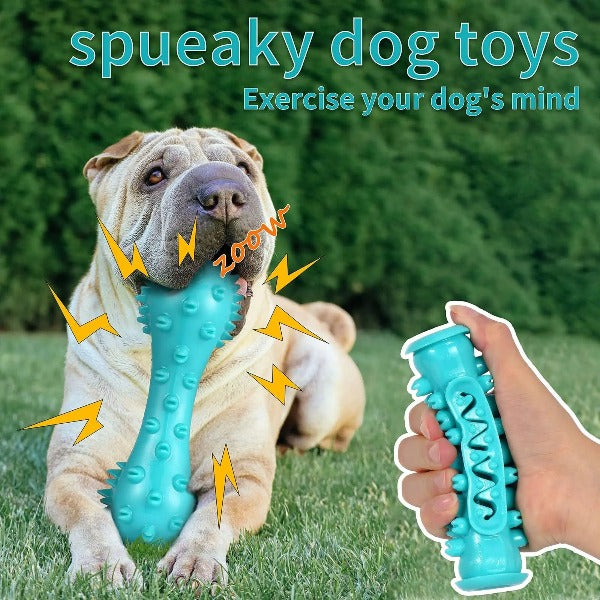 Dog Toys