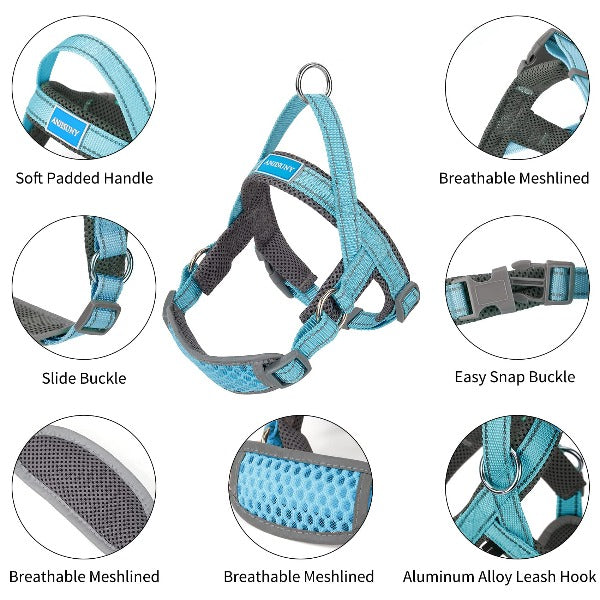 dog harness