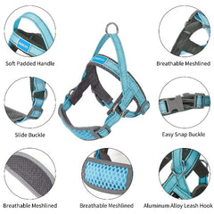 dog harness