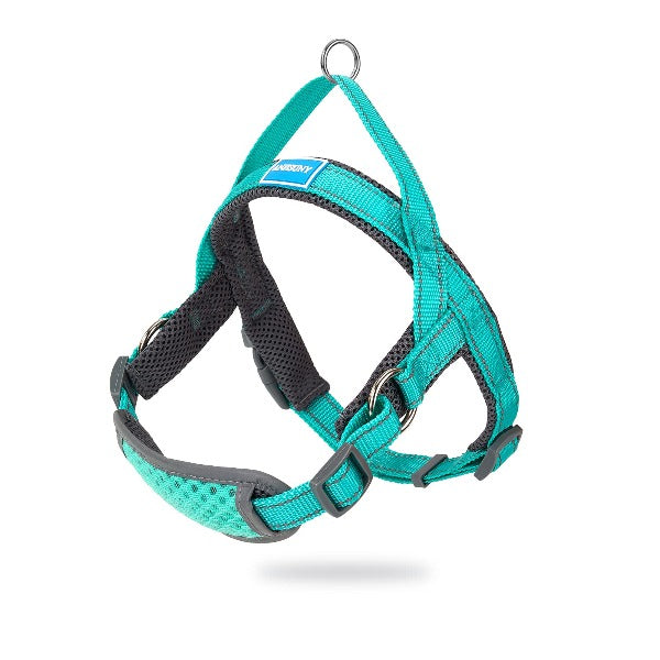 dog harness