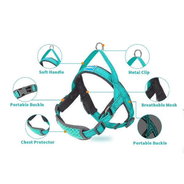 dog harness