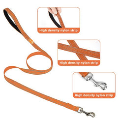 4 Ft Reflective Dog Leash Durable Nylon Puppy Leash with Reflective Threads