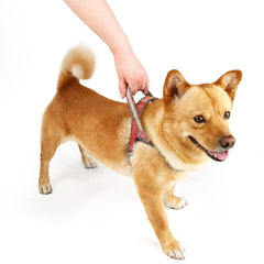No Pull Dog Harness Adjustable Reflective Breathable Vest Harness Puppy Vest Step-in Dog Vest Soft Mesh Padded