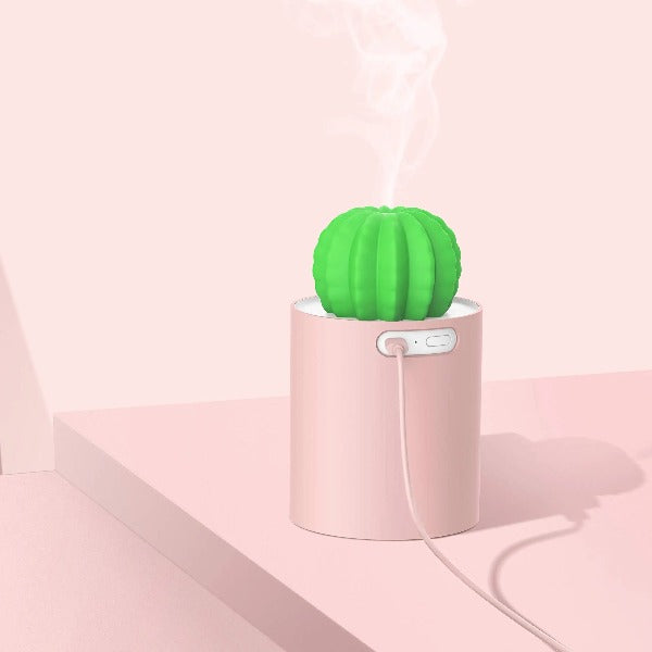 Mini Size Cactus Humidifier