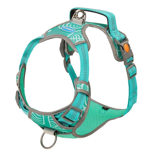 dog harness