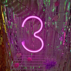 Custom Number and Letters LED Neon Light Signs for Wall Decor