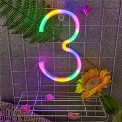 Custom Number and Letters LED Neon Light Signs for Wall Decor