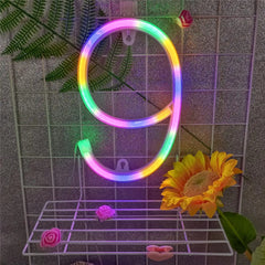 Custom Number and Letters LED Neon Light Signs for Wall Decor