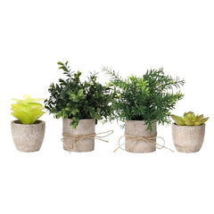 plant decor for bedroom