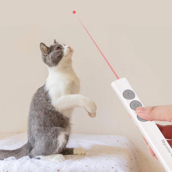 high power laser pointer